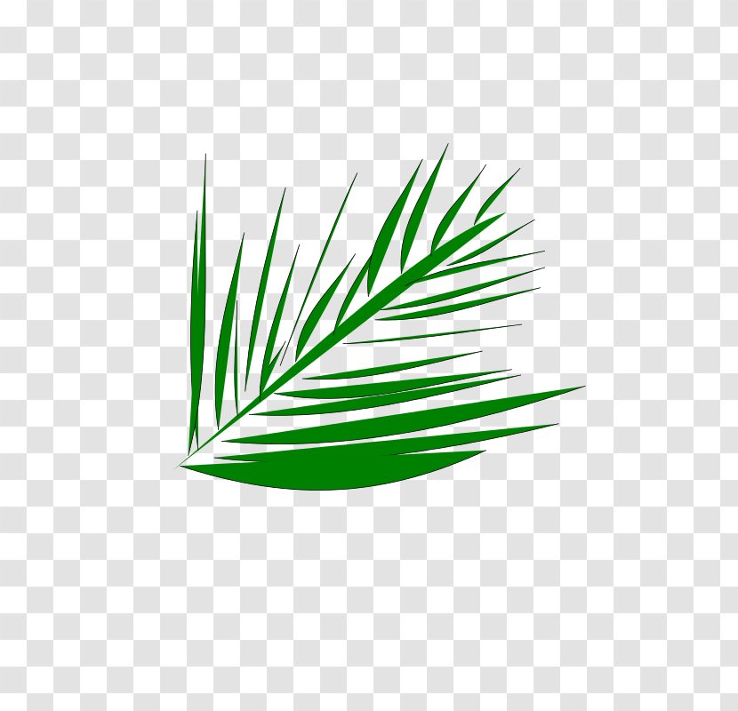Clip Art - Plant Stem - Palm Fronds Transparent PNG