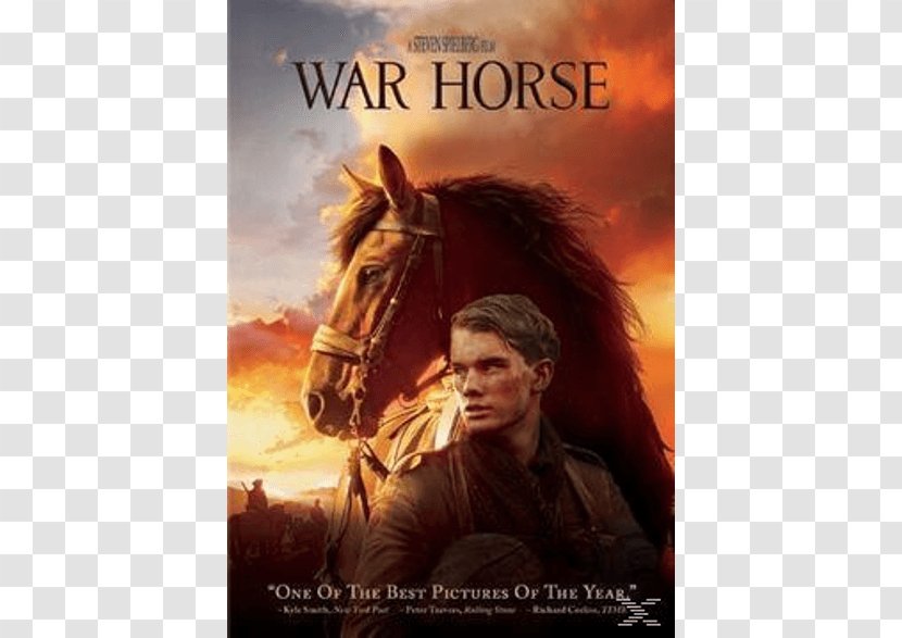 Horse Film Director DVD Cinema - Poster Transparent PNG