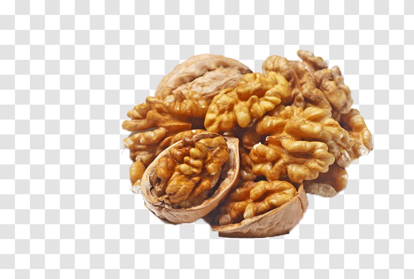 English Walnut Pecan Nucule Transparent PNG