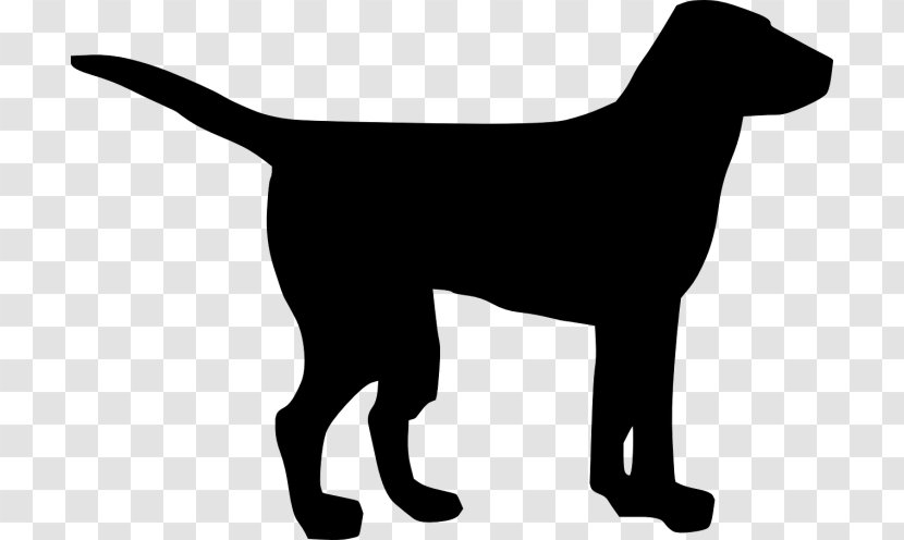 Clip Art Pug Labrador Retriever Golden Puppy - Dog Breed - Transparent Background Transparent PNG