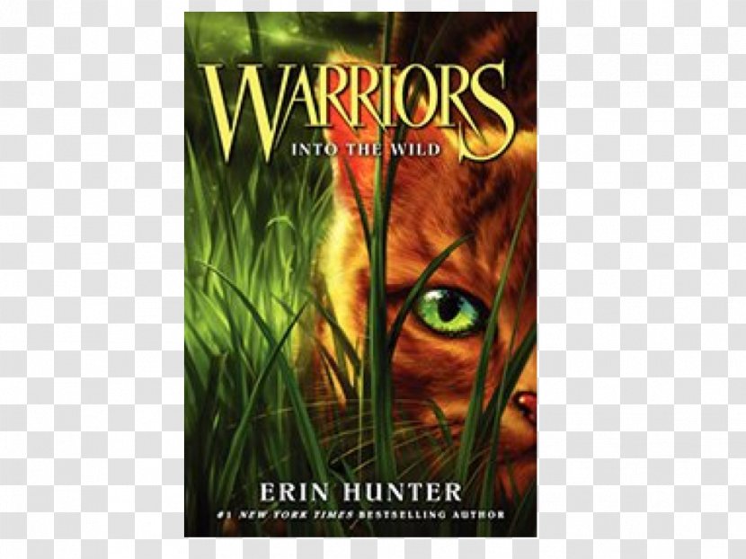 Into The Wild Forest Of Secrets Fire And Ice Darkest Hour Erin Hunter - Firestar Transparent PNG