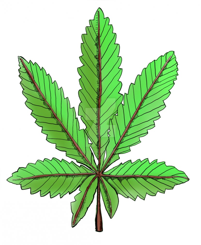 Cannabis Cannabaceae Hemp Tree Plant - Leaf Transparent PNG