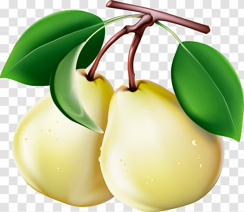 Fruit Tree Transparent PNG