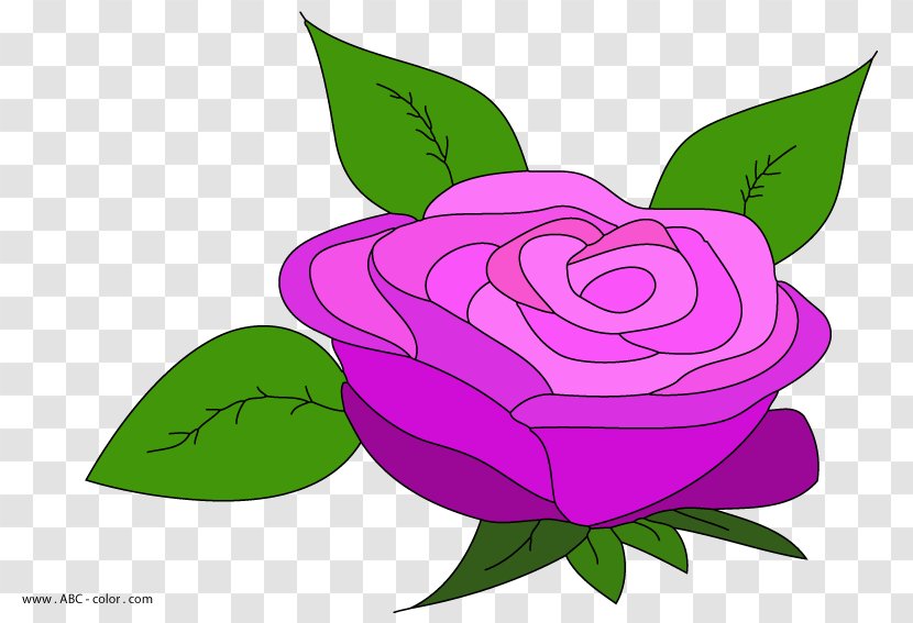 Garden Roses Hybrid Tea Rose Flower Clip Art - Flora Transparent PNG