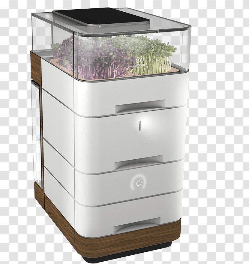 Nutrient Superfood Microgreen Vitamin Small Appliance - Industrial Design - Garden Elements Transparent PNG