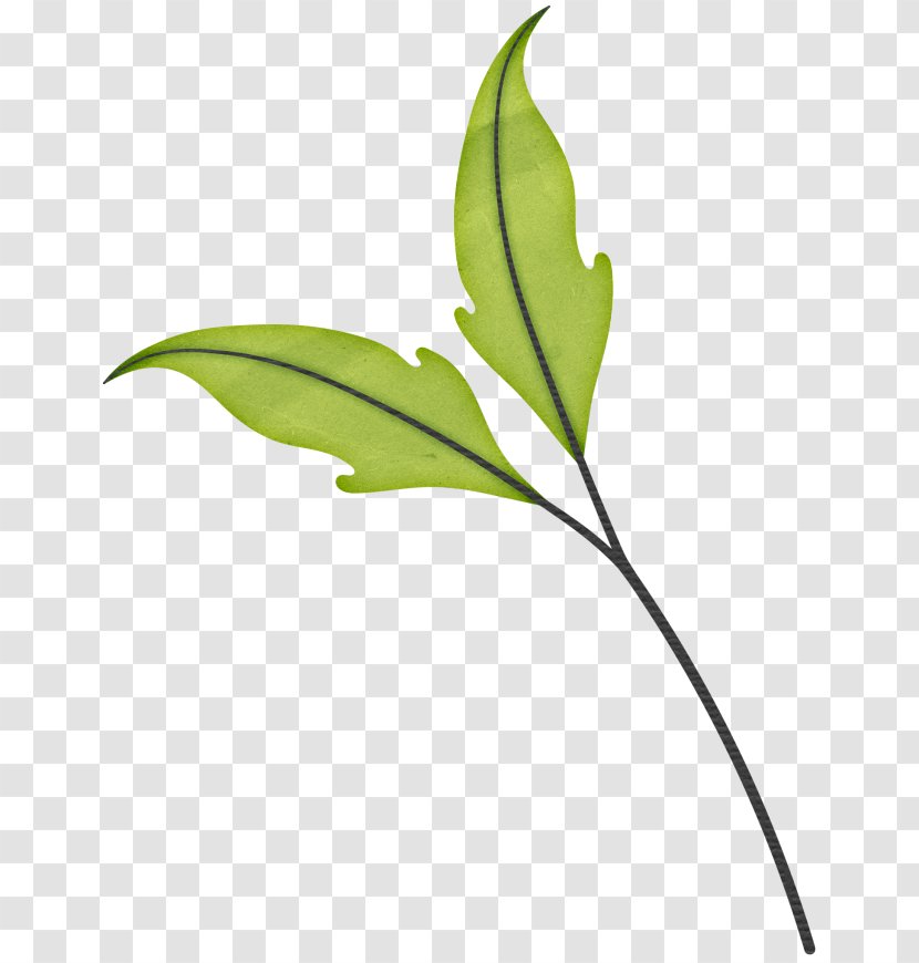Leaf Drawing Blog - Tree Transparent PNG