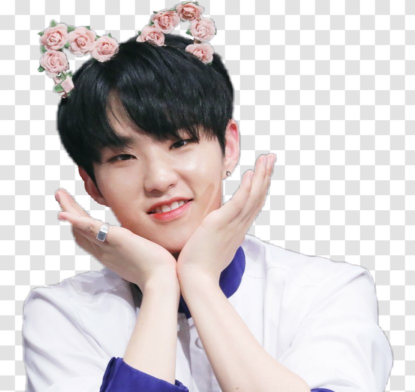 Seventeen Al1 Don't Wanna Cry Pledis Entertainment Transparent PNG