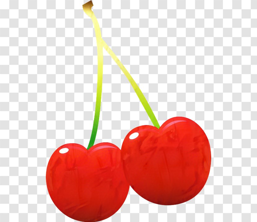 Clip Art Vector Graphics Transparency Cherries - Prunus Transparent PNG