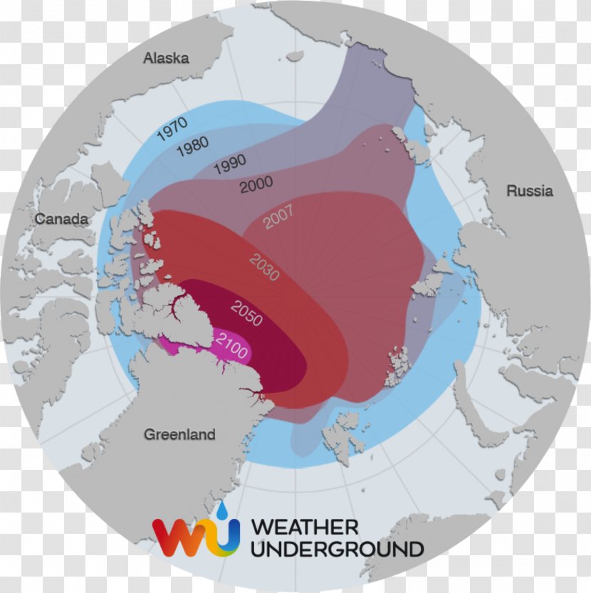 Arctic Ocean Polar Regions Of Earth Ice Pack Sea Decline - Harp Seal Transparent PNG