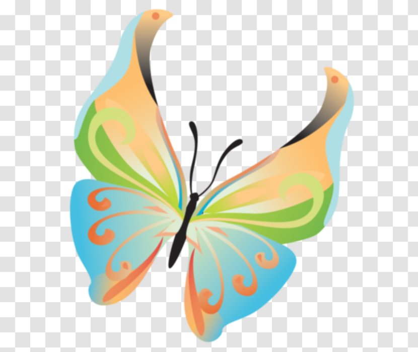 Butterfly Insect Clip Art Digital Image Small Tortoiseshell - Invertebrate Transparent PNG
