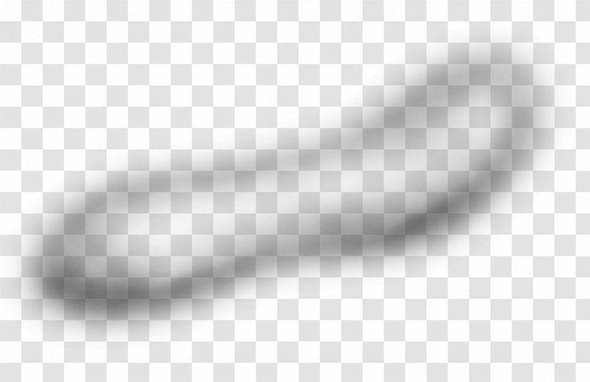 Water Spot - Black And White Transparent PNG