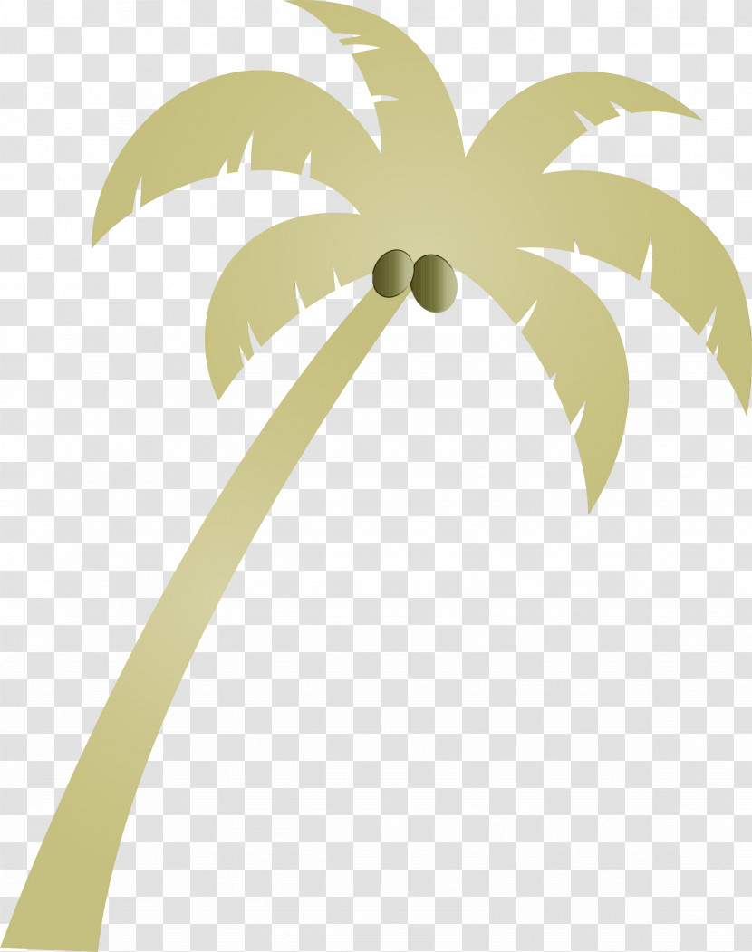 Palm Trees Transparent PNG