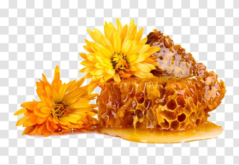 Beeswax Honeycomb Propolis Stock Photography - Wax - Chrysanthemum Honey Nectar Transparent PNG