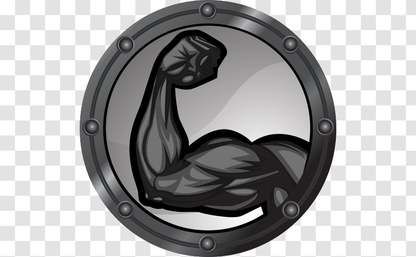 Biceps Muscle Arm - Compartment Transparent PNG