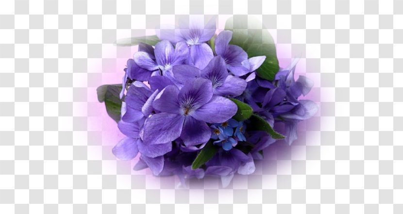 Violet Mauve Plantes Et Fleurs Flower Purple Transparent PNG