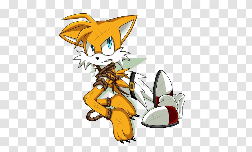 Cat Tails Sonic The Hedgehog Knuckles Echidna Shadow Transparent PNG