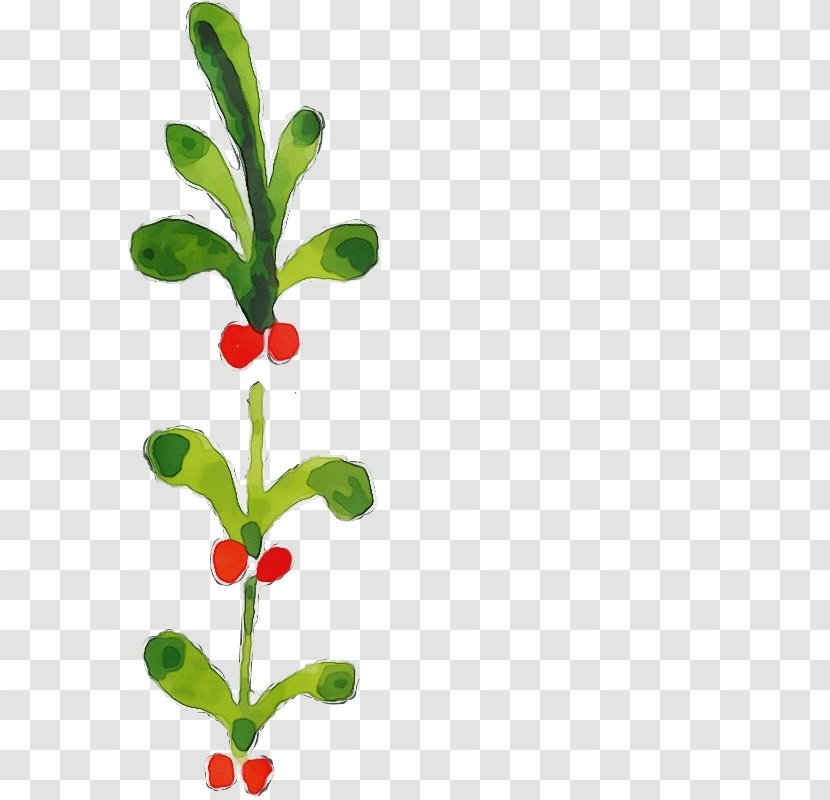 Holly - Lingonberry - Superfruit Transparent PNG