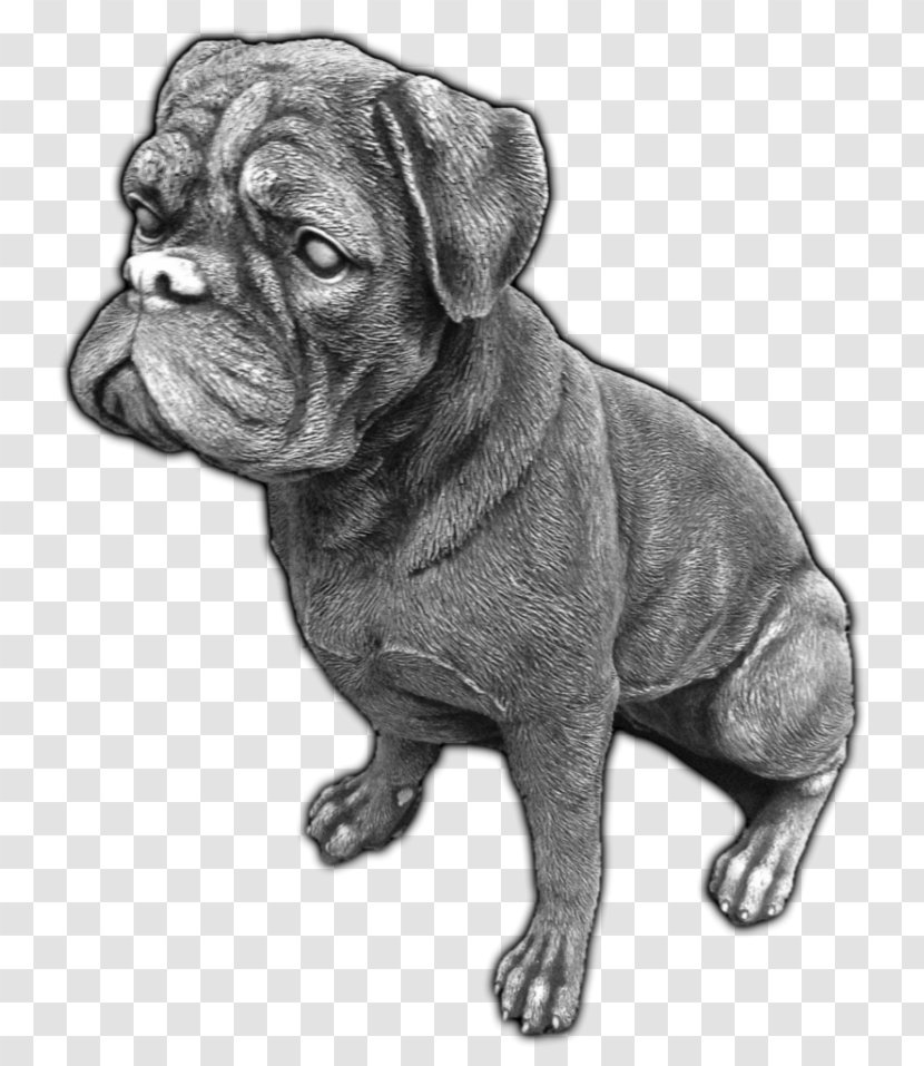 Toy Bulldog Dorset Olde Tyme Bulldogge English Pug Bullmastiff - Dog - Puppy Transparent PNG