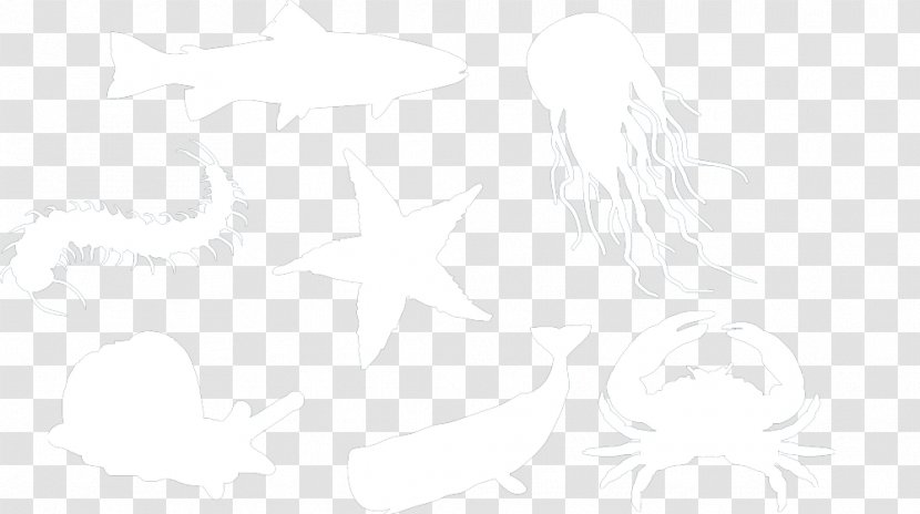 White Line Art Sketch - Design Transparent PNG