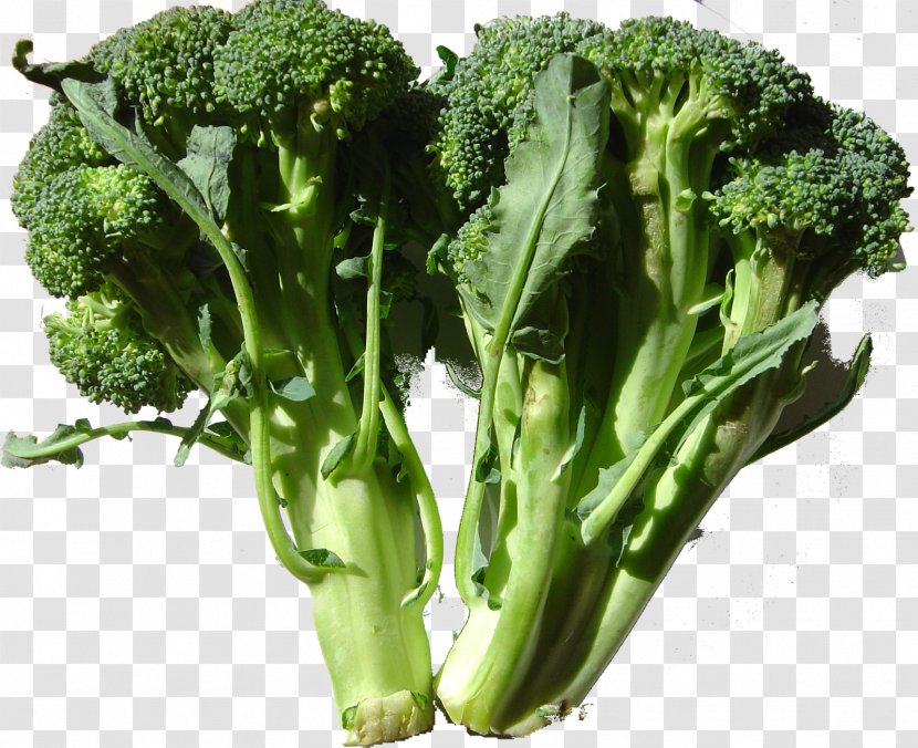 Broccoli Leaf Vegetable Nutrient Cruciferous Vegetables - Juicing Transparent PNG