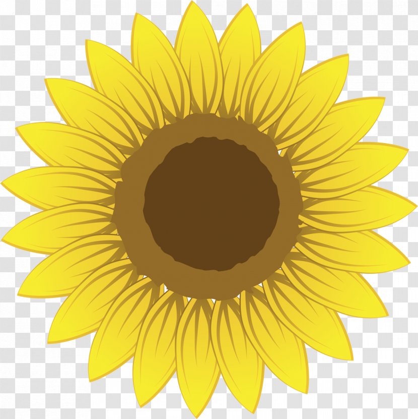 Discounts And Allowances Roanoke Children's Theatre Quantity Price - Advertising - Sunflower Oil Transparent PNG