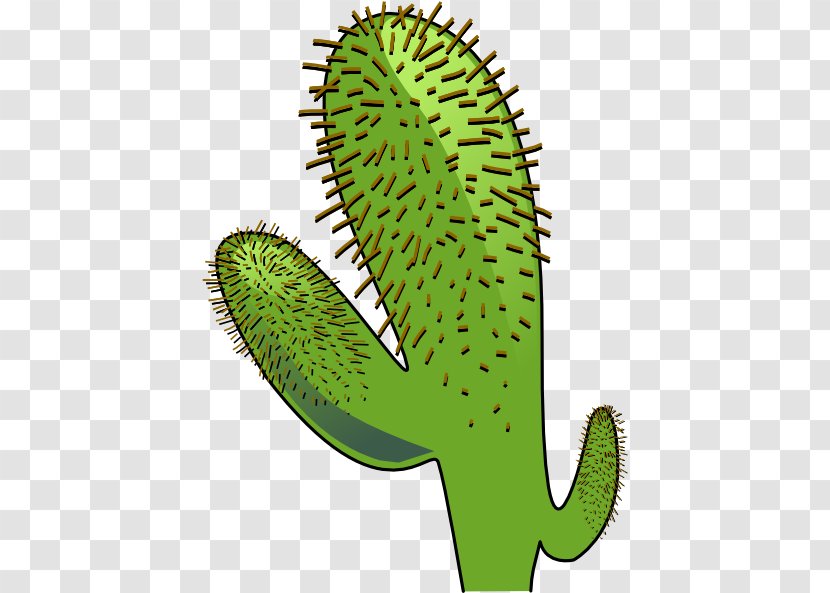 Cactaceae Saguaro Cactus Wren Clip Art - Plant Transparent PNG