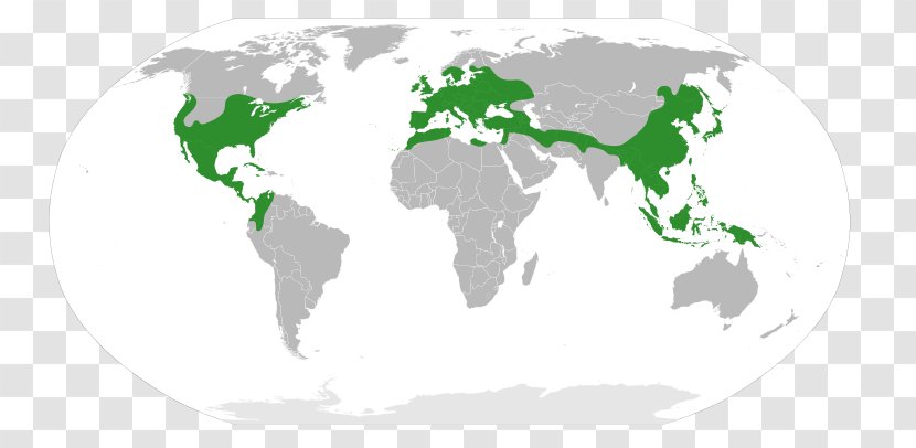 World Map New United States - Mapa Polityczna - Quercus Robur Transparent PNG