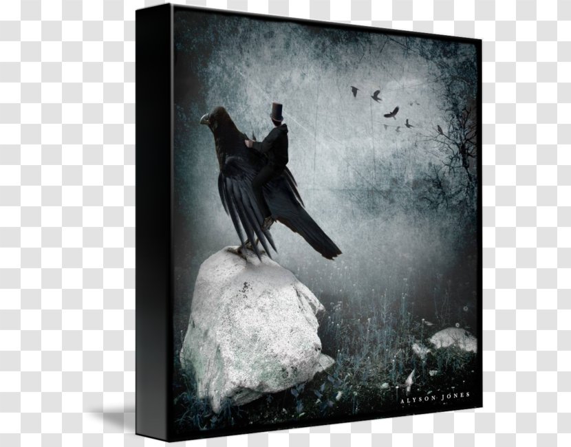 White Poster - Black And - Watercolor Raven Transparent PNG