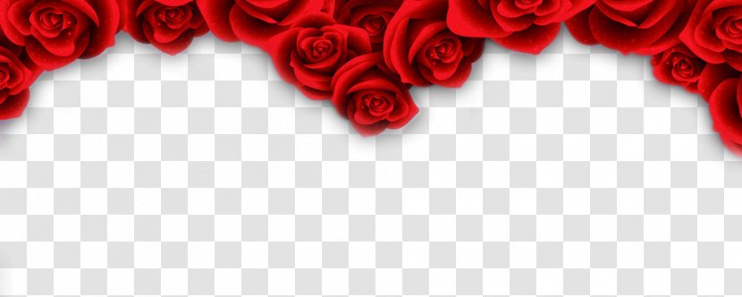 Beach Rose Garden Roses Red Flower - Heart - Border Transparent PNG