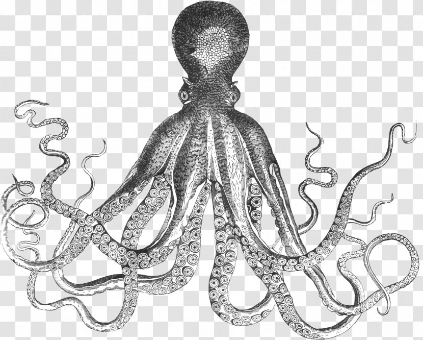 Octopus Printing Printmaking Paper Decorative Arts - Target Touch Lamps Transparent PNG