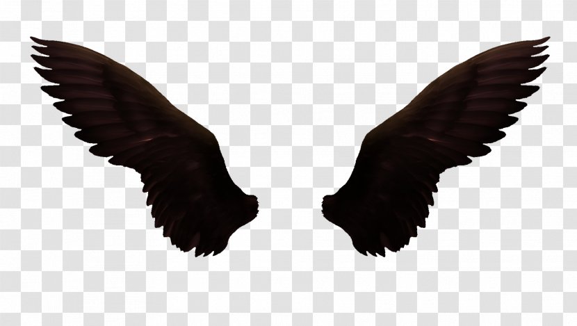 Icon - Bird Of Prey - Dark Wings Transparent PNG