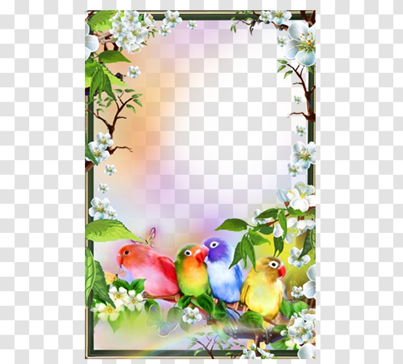 Picture Frame Download Google Play - Green - Lark Cute Photo Transparent PNG