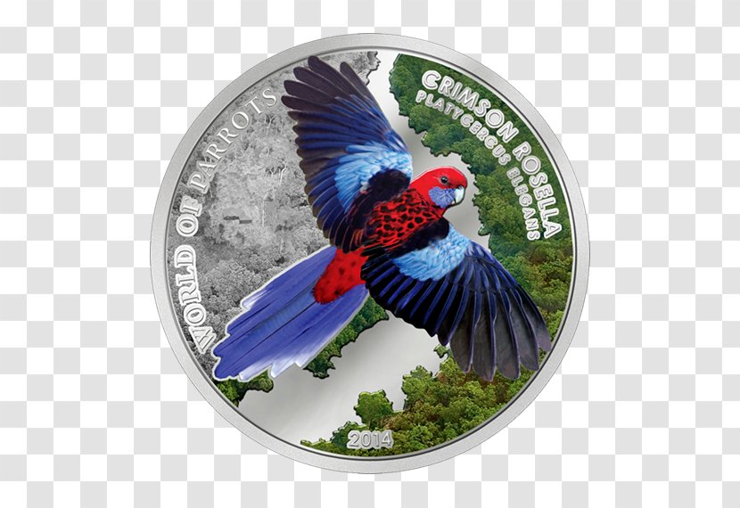 Armed Spiders Silver Coin Crimson Rosella Gold - Venom Transparent PNG