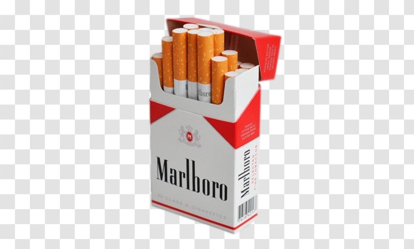 Marlboro Cigarette Pack Arabs Tobacco - Tree Transparent PNG