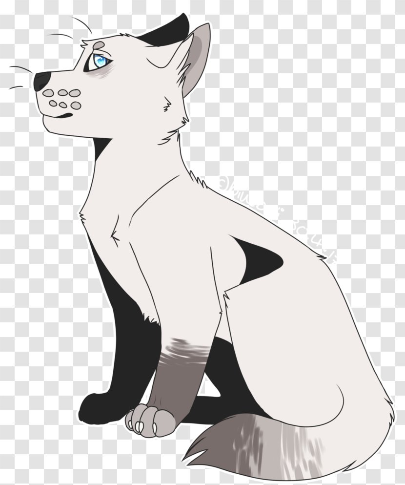 Whiskers Puppy Dog Breed Cat - Neck Transparent PNG
