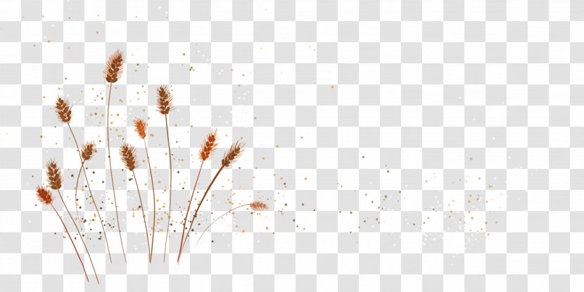 Desktop Wallpaper Yellow - Branch - Hand Painted Wheat Grain Wandering Transparent PNG