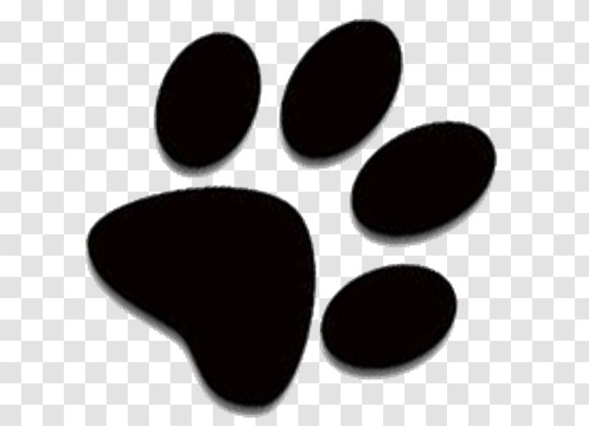 Siberian Husky Paw Puppy Clip Art - Cat Transparent PNG