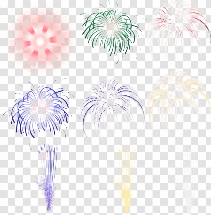 Pyrotechnics Light Fireworks - Sky Transparent PNG