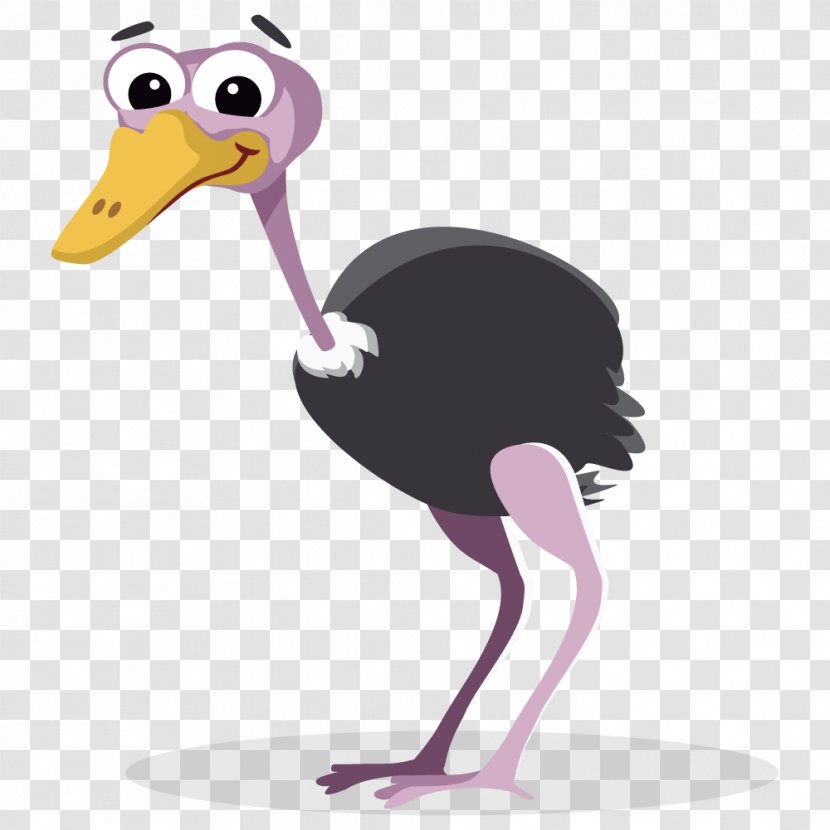 Common Ostrich Free Content Clip Art - Duck - Cliparts Transparent PNG