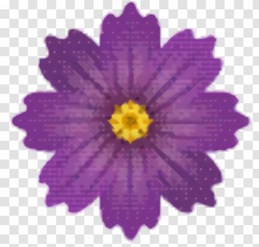 Lavender Flower - Kitchen - Daisy Family Viola Transparent PNG