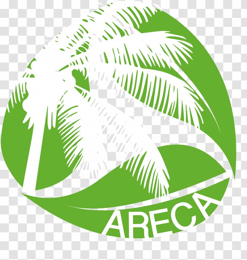 Plastic Areca Palm Nut Arecaceae Logo - Betel - Disposable Tableware Transparent PNG