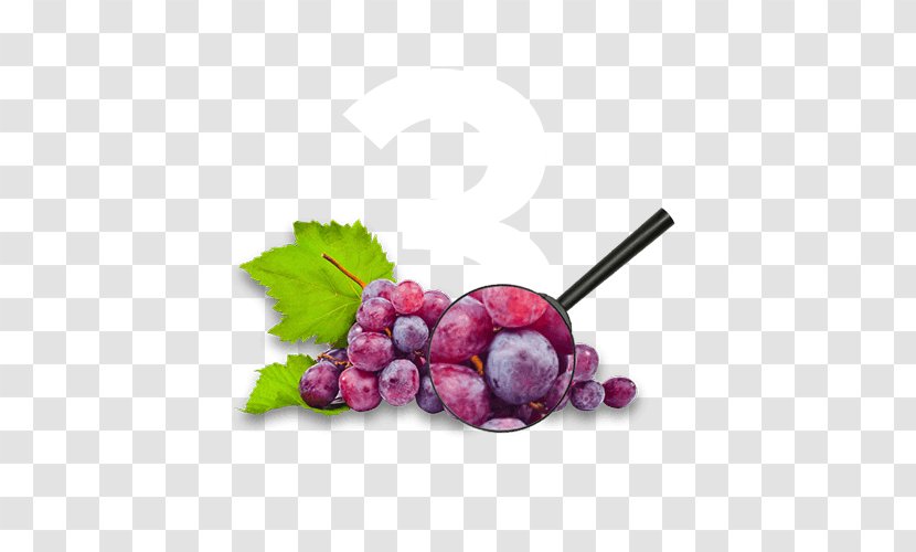 Common Grape Vine Wine Seed Extract Food - Raisin Transparent PNG