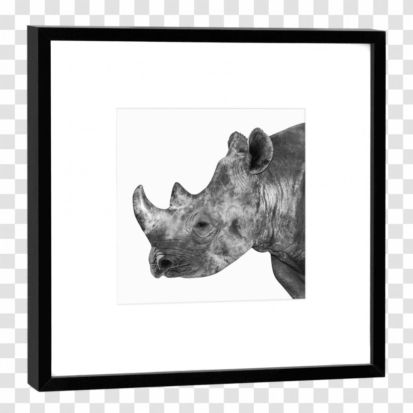 Giraffe Animals Matching Game Drawing Picture Frames Refrigerator Magnets - Book - Rhinoceros Transparent PNG