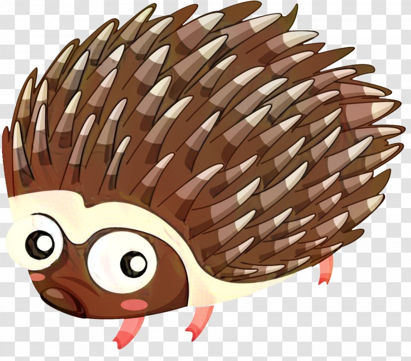 Animal Cartoon - Porcupine - Erinaceidae Pet Transparent PNG