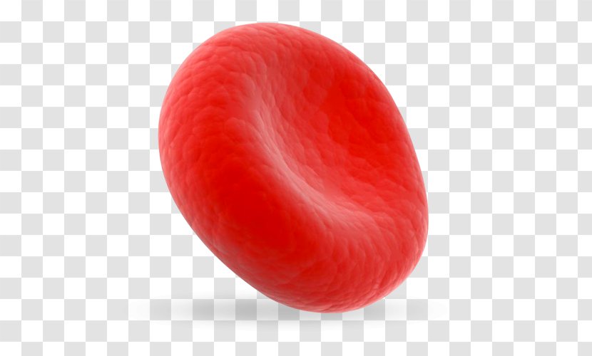 Close-up - Red - Blood Cells Transparent PNG