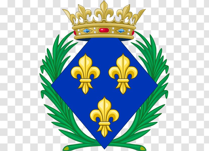Kingdom Of France National Emblem Coat Arms House Bourbon Transparent PNG