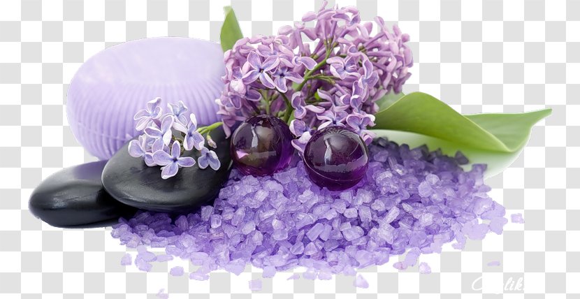 Lotion Spa Massage Freshfields Hotel Aromatherapy - Lilac Transparent PNG