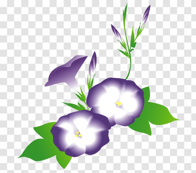 Bellflower Family Herbaceous Plant M Invest D.o.o. Plants - Branch - Ais Poster Transparent PNG