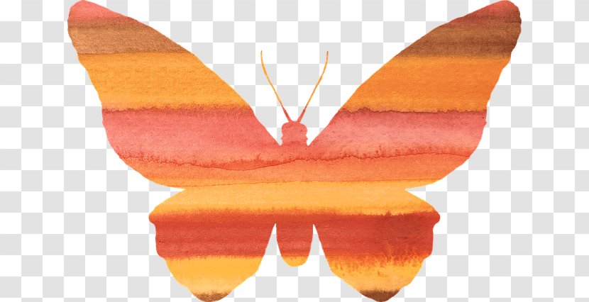 Butterfly Insect Desktop Wallpaper Clip Art - Monarch Transparent PNG