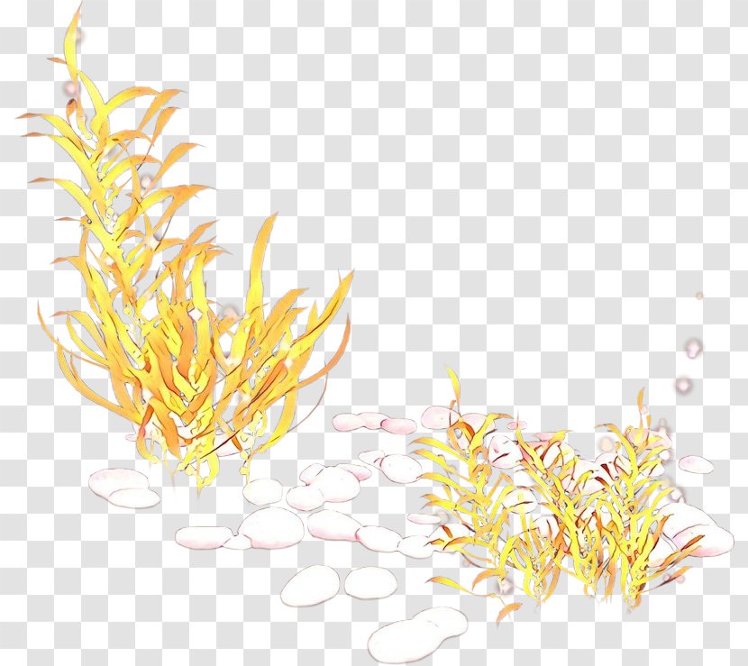 Yellow Grass Family Plant Transparent PNG